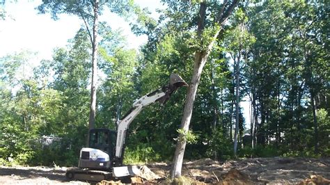 pull roots mini excavator|mini excavator push over tree.